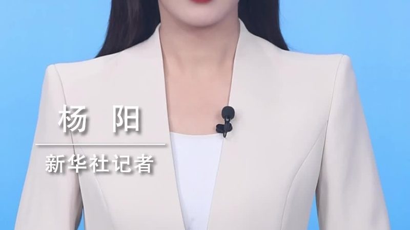 数据安全认证标准：企业筑牢信息防线的基石